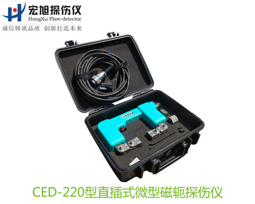 CED220型直插式微型磁轭香蕉视频在线观看黄片